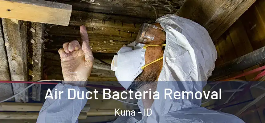  Air Duct Bacteria Removal Kuna - ID