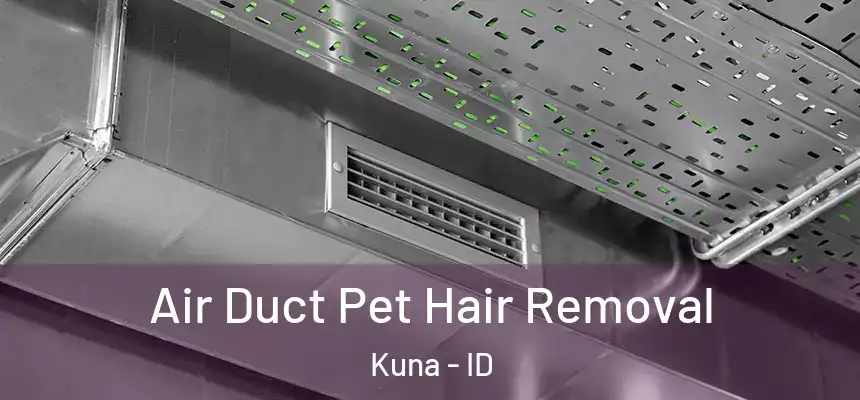  Air Duct Pet Hair Removal Kuna - ID