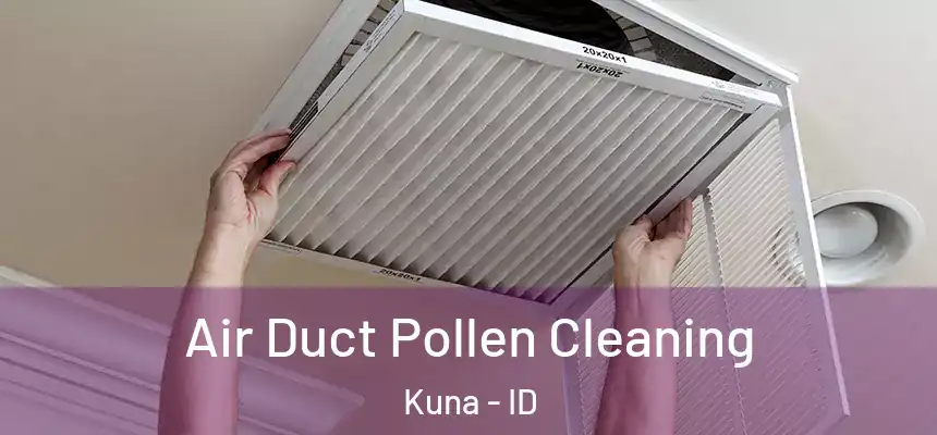  Air Duct Pollen Cleaning Kuna - ID