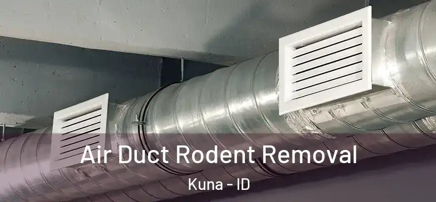  Air Duct Rodent Removal Kuna - ID