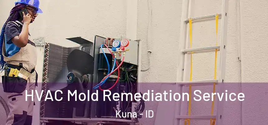  HVAC Mold Remediation Service Kuna - ID