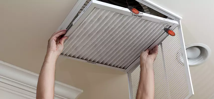 Preventive Cockroach-Proofing for Ducts in Kuna
