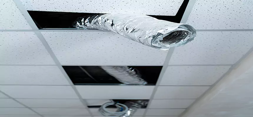 Our Air Duct Pet Hair Removal Services in Kuna, ID