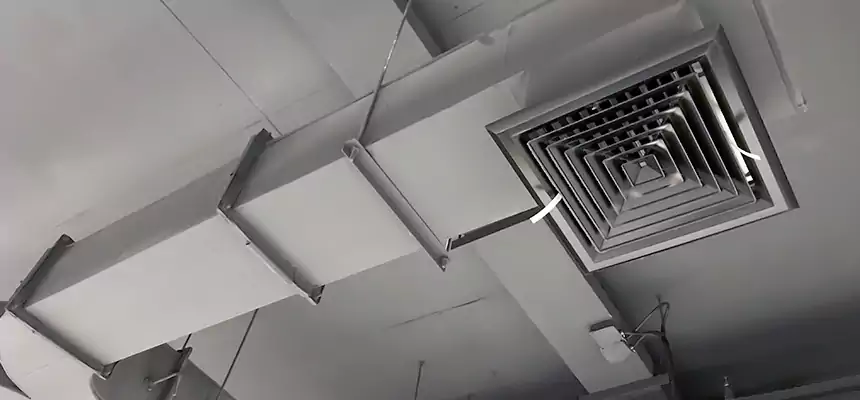 Restorative Allergy Relief Vent Cleaning – Coil, Blower & Housing Detail in Kuna