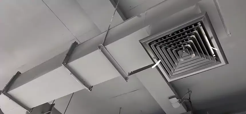 Our Pest Removal From Ducts Services in Kuna, ID