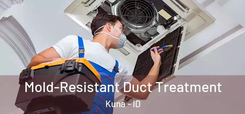  Mold-Resistant Duct Treatment Kuna - ID
