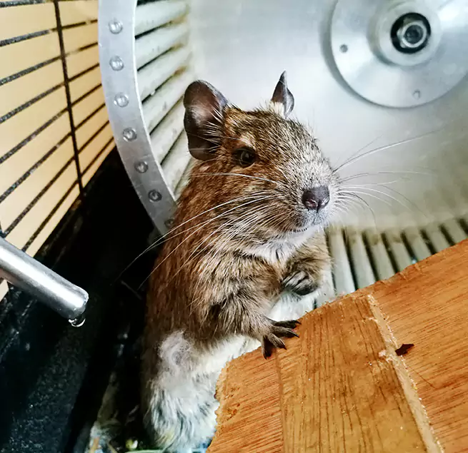 Why Homeowners & Businesses Trust Us Kuna, ID?