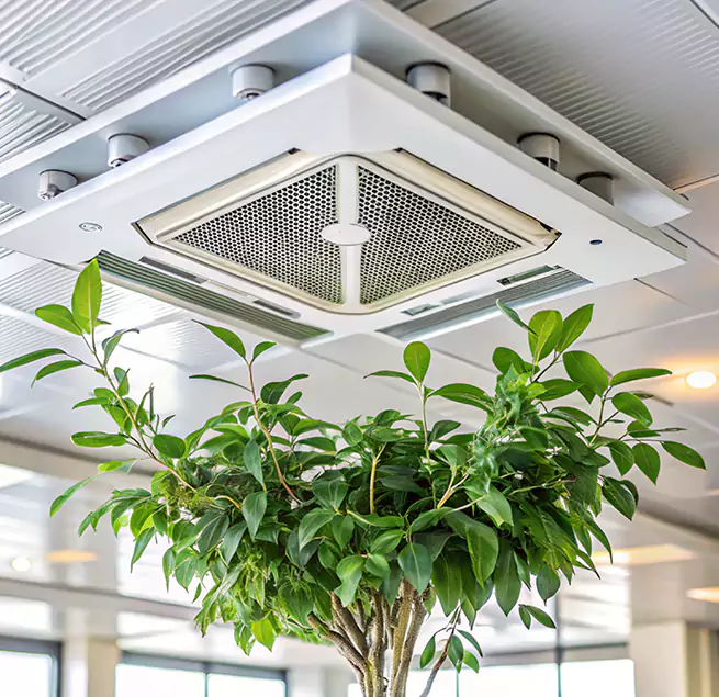 Why Homeowners & Businesses Trust Us in Kuna, ID